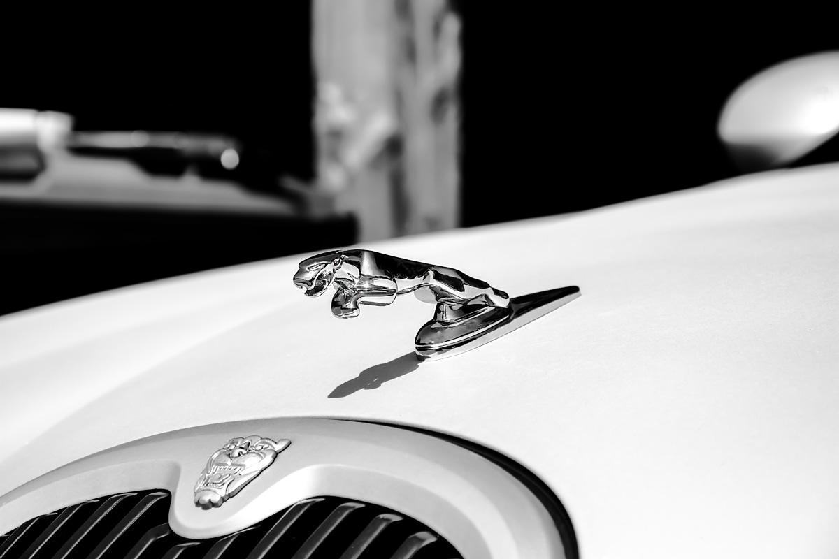 Фотообои Авто Ягуар