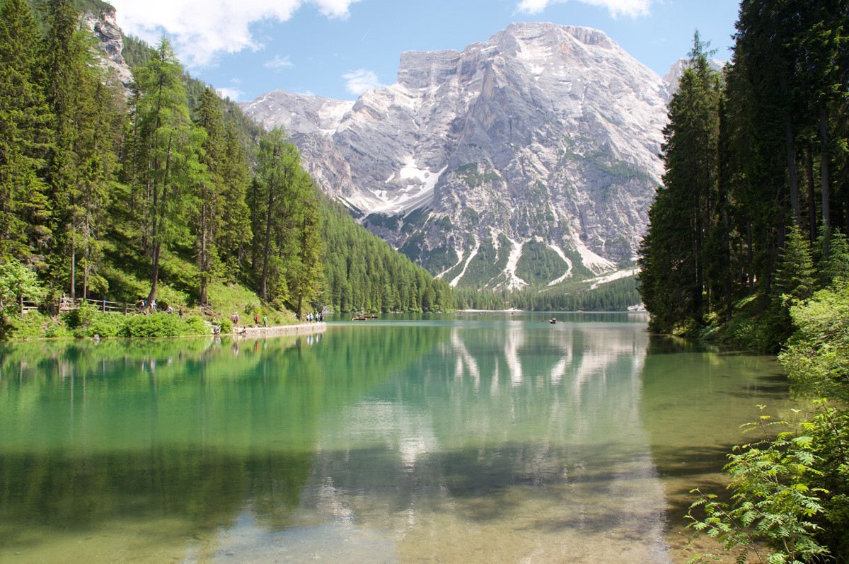 Фотообои Горное озеро и лес