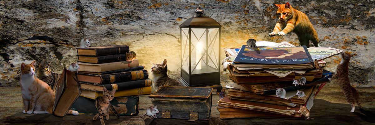 Фотообои Книги и котята