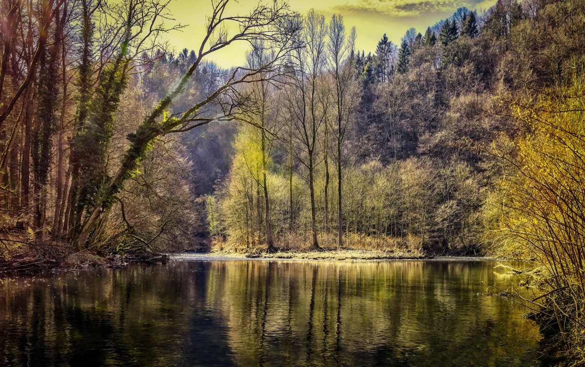 Фотообои Река и осенний лес