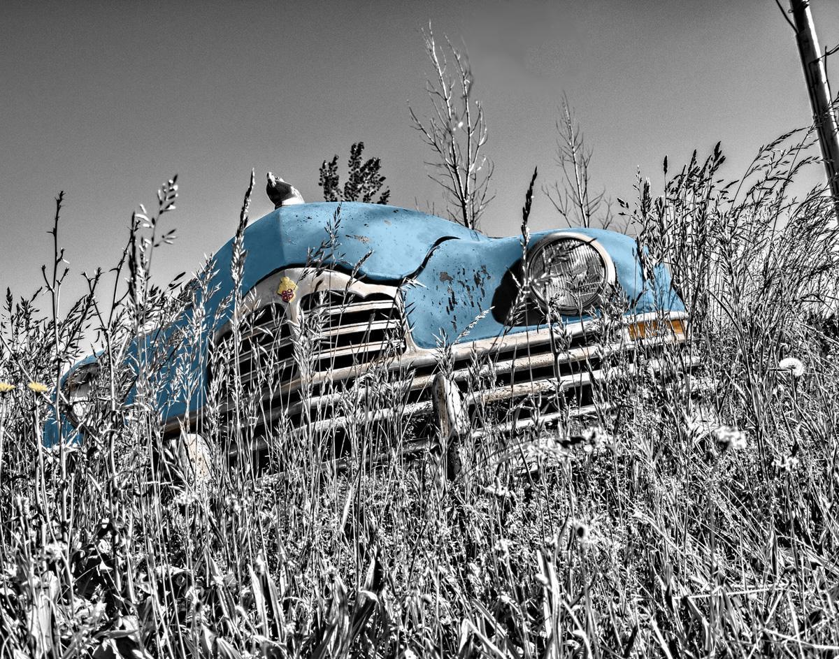 Фотообои Ретро автомобиль в поле