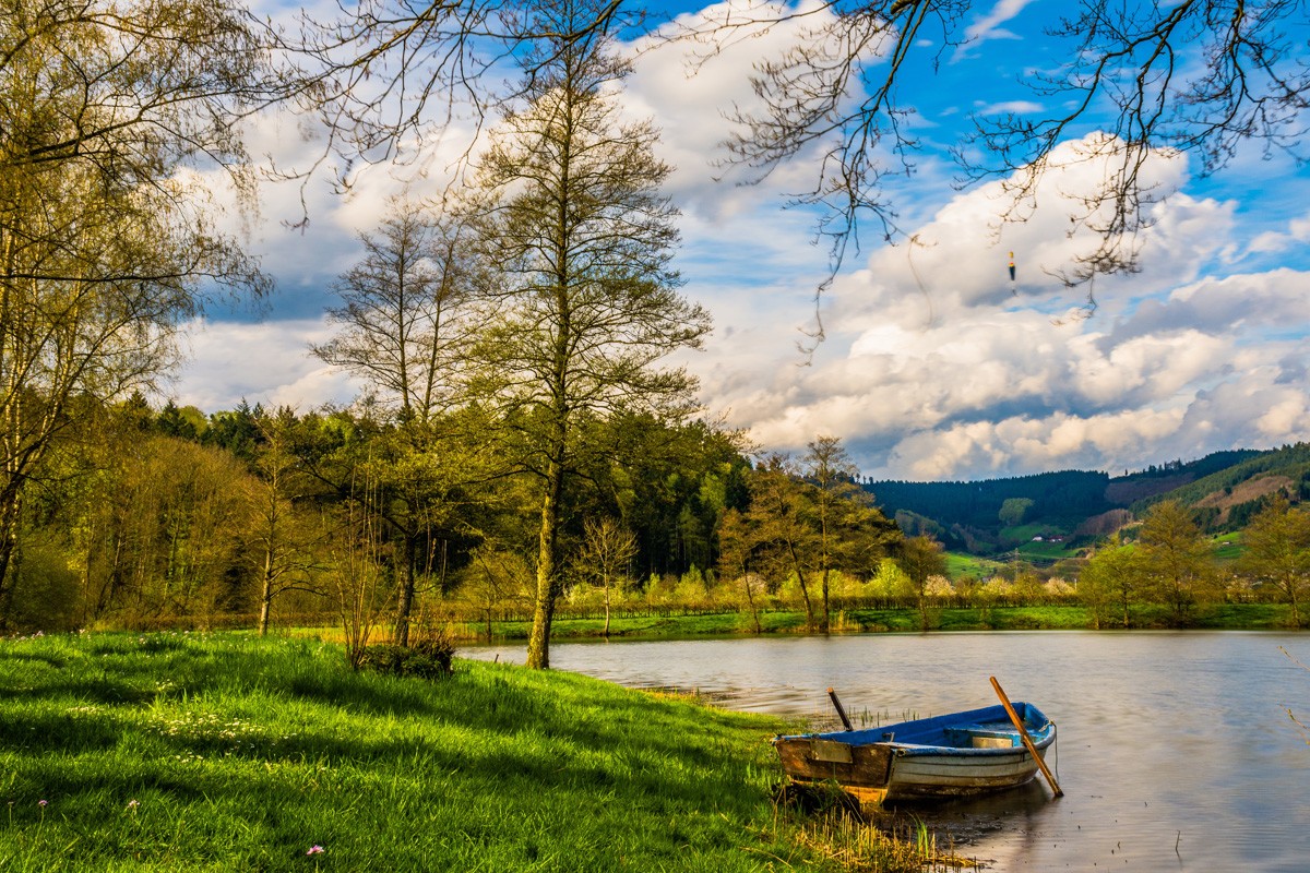 Фотообои Весенний пейзаж