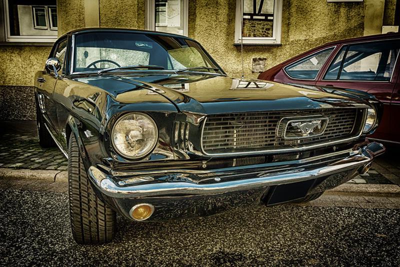 Фотообои Черный Мустанг Код:1294