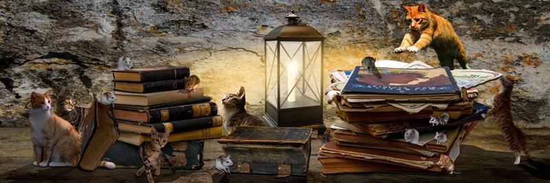 Фотообои Книги и котята Код:2256