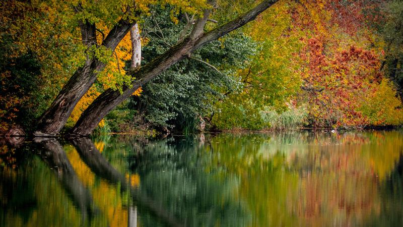 Фотообои Осень Код:560