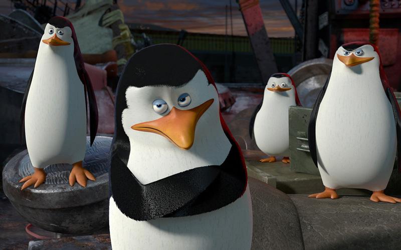 Фотообои Пингвины из Мадагаскара Код:11036