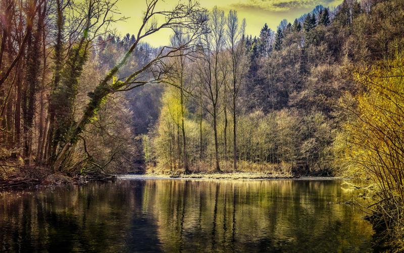 Фотообои Река и осенний лес Код:773