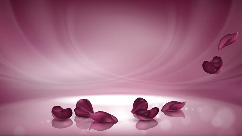Фотообои Розовые лепестки Код:10633