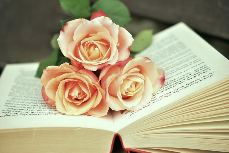 Фотообои Розы и книга Код:108