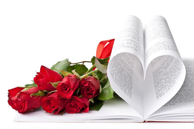Фотообои Розы и книга Код:10824
