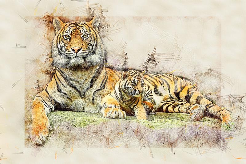 Фотообои Тигры рисунок Код:2460