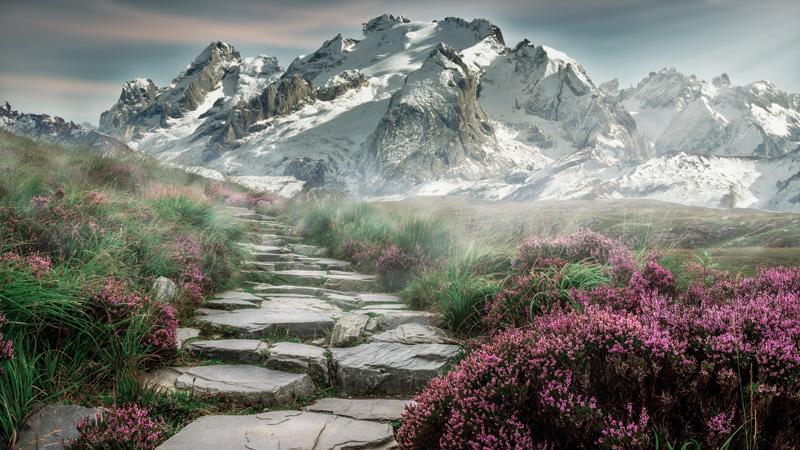 Фотообои Тропинка в горы
