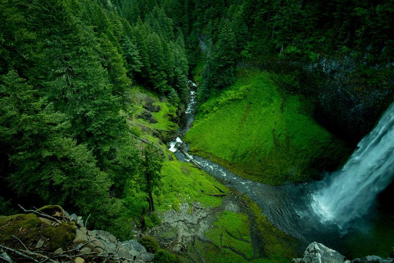 Фотообои Водопад и лес Код:612