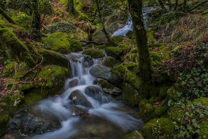 Фотообои Водопад в лесу Код:638